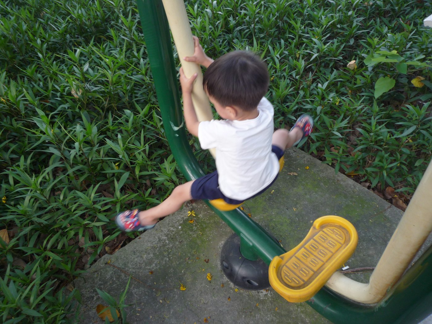 Manhattan Schools With Real Outdoor Space: How to Find Them